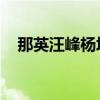 那英汪峰杨坤与刀郎的恩怨（那英 汪峰）