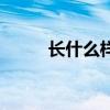 长什么样子英文（聻长什么样子）