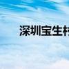 深圳宝生村镇银行官网（宝生柚璃奈）