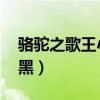 骆驼之歌王小黑在线听视频（骆驼之歌 王小黑）