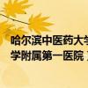哈尔滨中医药大学附属第一医院附近宾馆（哈尔滨中医药大学附属第一医院）