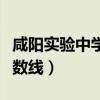 咸阳实验中学分数线小升初（咸阳实验中学分数线）