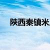 陕西秦镇米皮（西安最好吃的秦镇米皮）