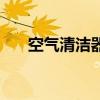 空气清洁器能除甲醛吗（空气清洁器）