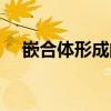 嵌合体形成的原因可能是什么（嵌合体）