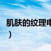 肌肤的纹理电影完整版迅雷下载（肌肤的纹理）
