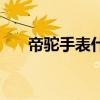 帝驼手表什么价（帝驼手表什么档次）