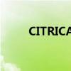 CITRICACID柠檬酸（citricacid）