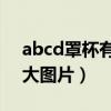 abcd罩杯有多大 小照片（a b c d罩杯有多大图片）