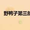 野鸭子第三部大结局剧情（野鸭子第三部）