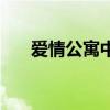 爱情公寓中打游戏（爱情公寓中打cs）