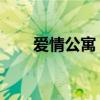 爱情公寓 综艺（爱情公寓综艺节目）