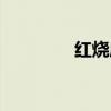 红烧鹿肉直播（红烧鹿肉）