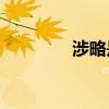 涉略是什么意思（shelve）