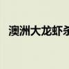 澳洲大龙虾杀法（澳洲大龙虾怎么杀图解）