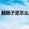 翻肠子是怎么回事狗翻肠子怎么办（翻肠子）