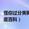 怪你过分美丽小说百度百科（怪你过分美丽百度百科）