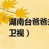 湖南台爸爸去哪儿第一季(爸爸去哪里 湖南卫视) 湖南台爸爸去哪儿第一季(爸爸去哪里 湖南卫视)