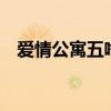 爱情公寓五啥时候出（爱情公寓会出5吗）