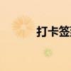 打卡签到唯美句子（打卡签到）