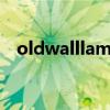 oldwalllamp什么意思（lamp什么意思）