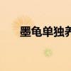 墨龟单独养吗（墨龟只能养一只镇宅）