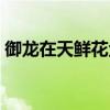 御龙在天鲜花金甲(御龙在天鲜花玉佩属性) 御龙在天鲜花金甲(御龙在天鲜花玉佩属性)