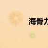 海骨力氨糖软骨素（海骨力）