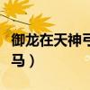 御龙在天神弓装备选择（御龙在天神弓骑什么马）