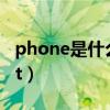 phone是什么意思（view phone test result）