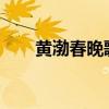 黄渤春晚歌曲2022(黄渤春晚歌曲) 黄渤春晚歌曲2022(黄渤春晚歌曲)