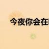 今夜你会在哪里原唱（今夜你会在哪里）