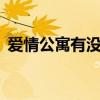 爱情公寓有没有英文版（爱情公寓有没有5）