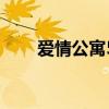 爱情公寓5官宣（爱情公寓5会出吗）