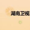 湖南卫视真情全集（湖南卫视真情）