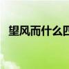 望风而什么四字成语有哪些（望风而什么）