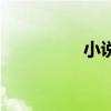 小说《官途》（叶无花）