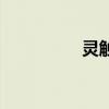灵触是什么意思（灵触）