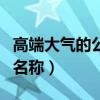 高端大气的公司名称四个字（高端大气的公司名称）