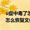 u盘中毒了怎么恢复文件win10（u盘中毒了怎么恢复文件）