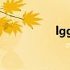 lgg2手机参数（lgg2）