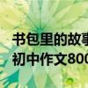 书包里的故事初中作文600字（书包里的故事初中作文800字）
