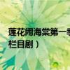 莲花闹海棠第一季第七集普法栏目剧（莲花闹海棠全集普法栏目剧）