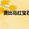 奥比岛红宝石用处（奥比岛红宝石公用号）