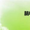 脑电波n2（脑电波吧）