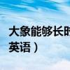 大象能够长时间行走而且从不迷路英语（迷路英语）