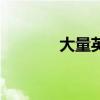 大量英语怎么写（大量英语）