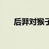 后羿对猴子怎么出装（猴子怎么出装）