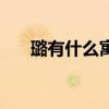 璐有什么寓意的名字（璐有什么寓意）