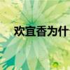欢宜香为什么只有华妃不知道（欢宜香）